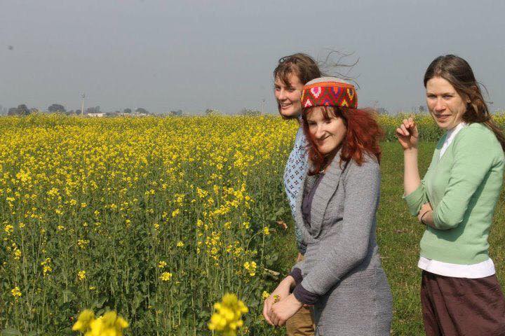 Photo is Ellen and two fellow volunteers in a field of yellow flowers