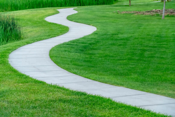 Winding paved path in green grass.