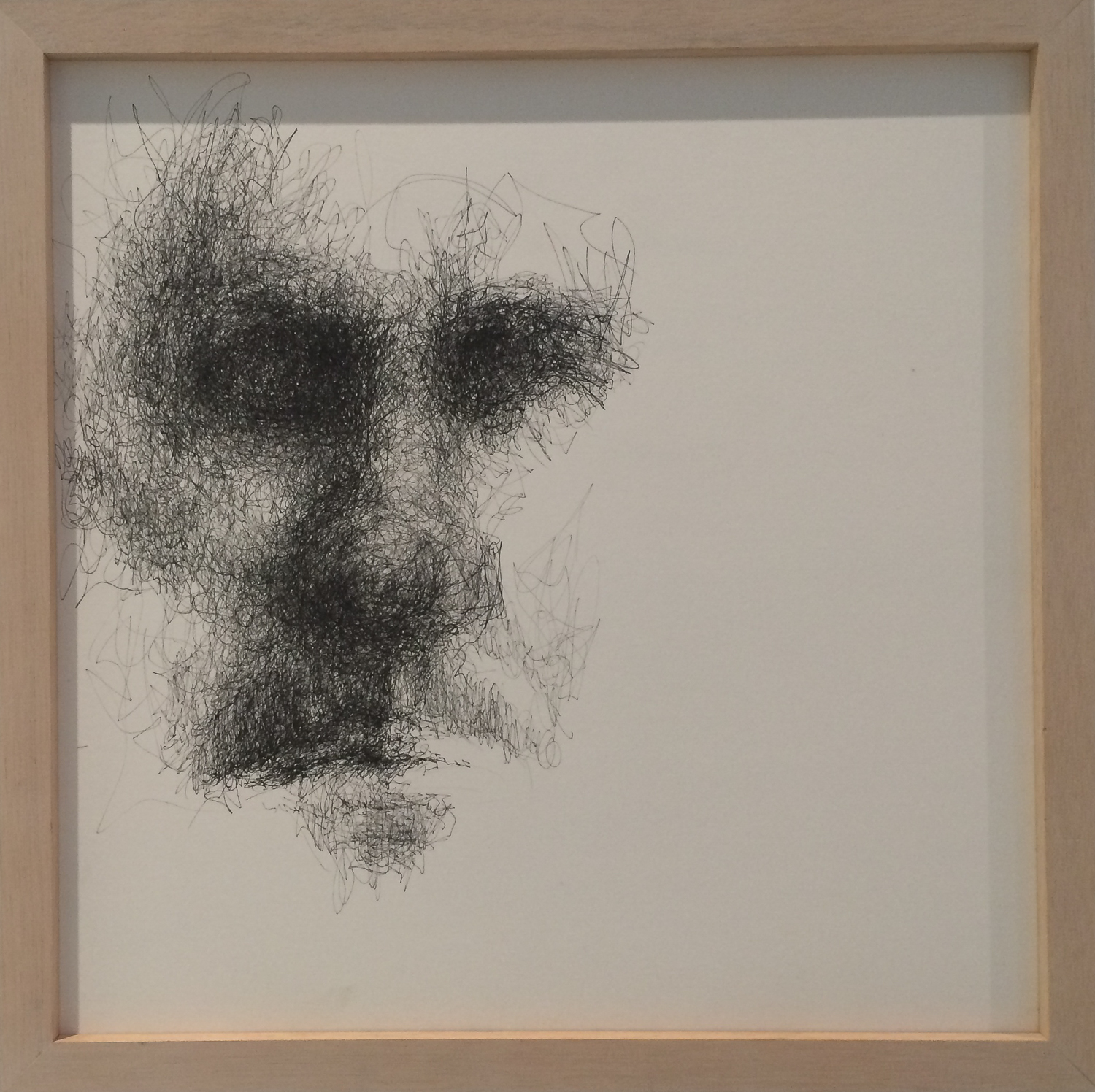 Return The Gaze by Alison Perrott Ink on paper of a partially revealed face