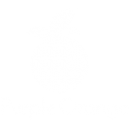 White coloured Purple Orange logo.